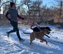 Load image into Gallery viewer, Adda-WALK Dog Leash (webbing 100% recycled plastic)